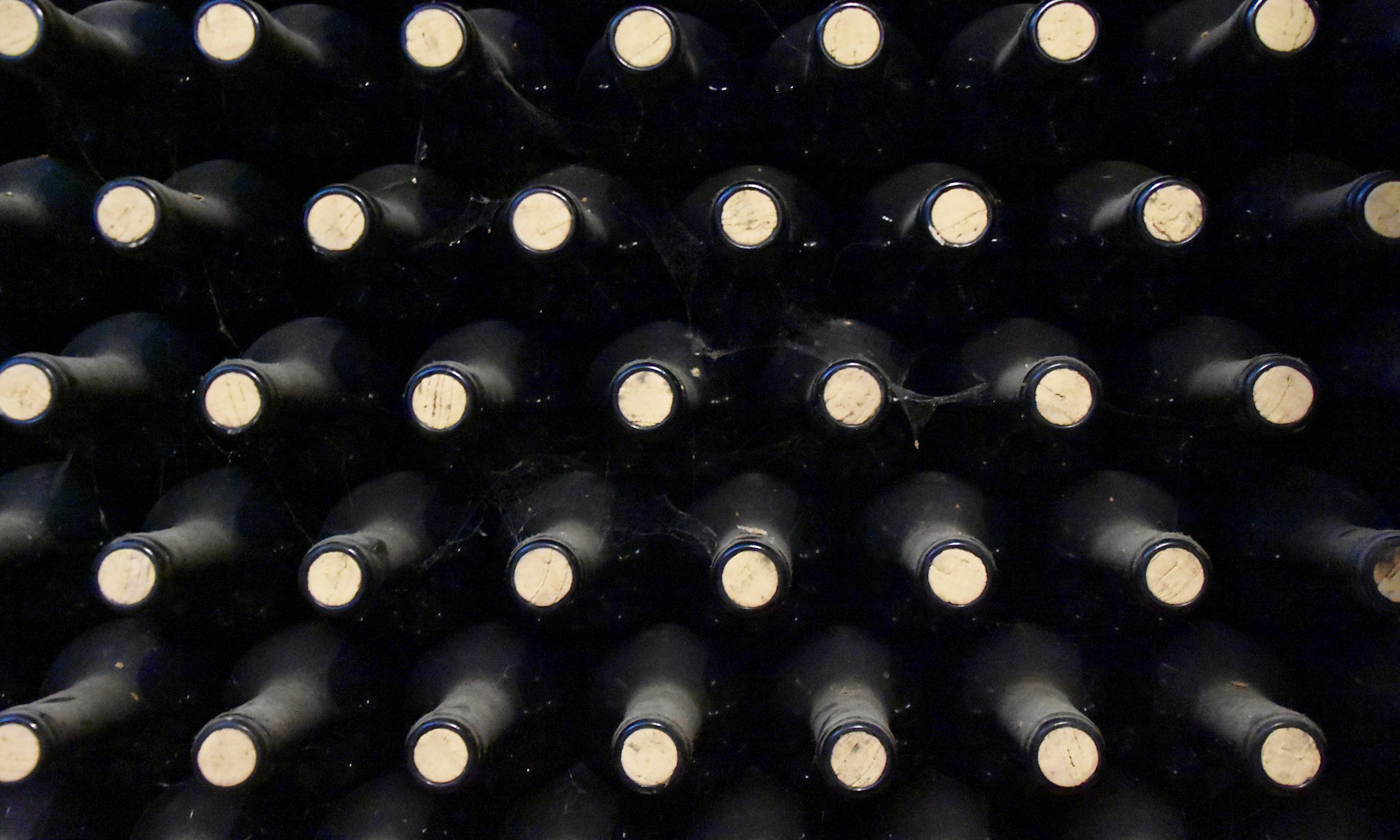 Bottles of wine resting in the cellar racks at Norman's Liquors